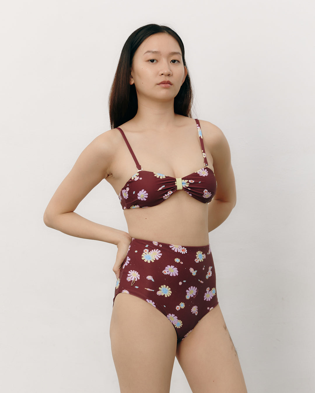 #colour_maroon daisies