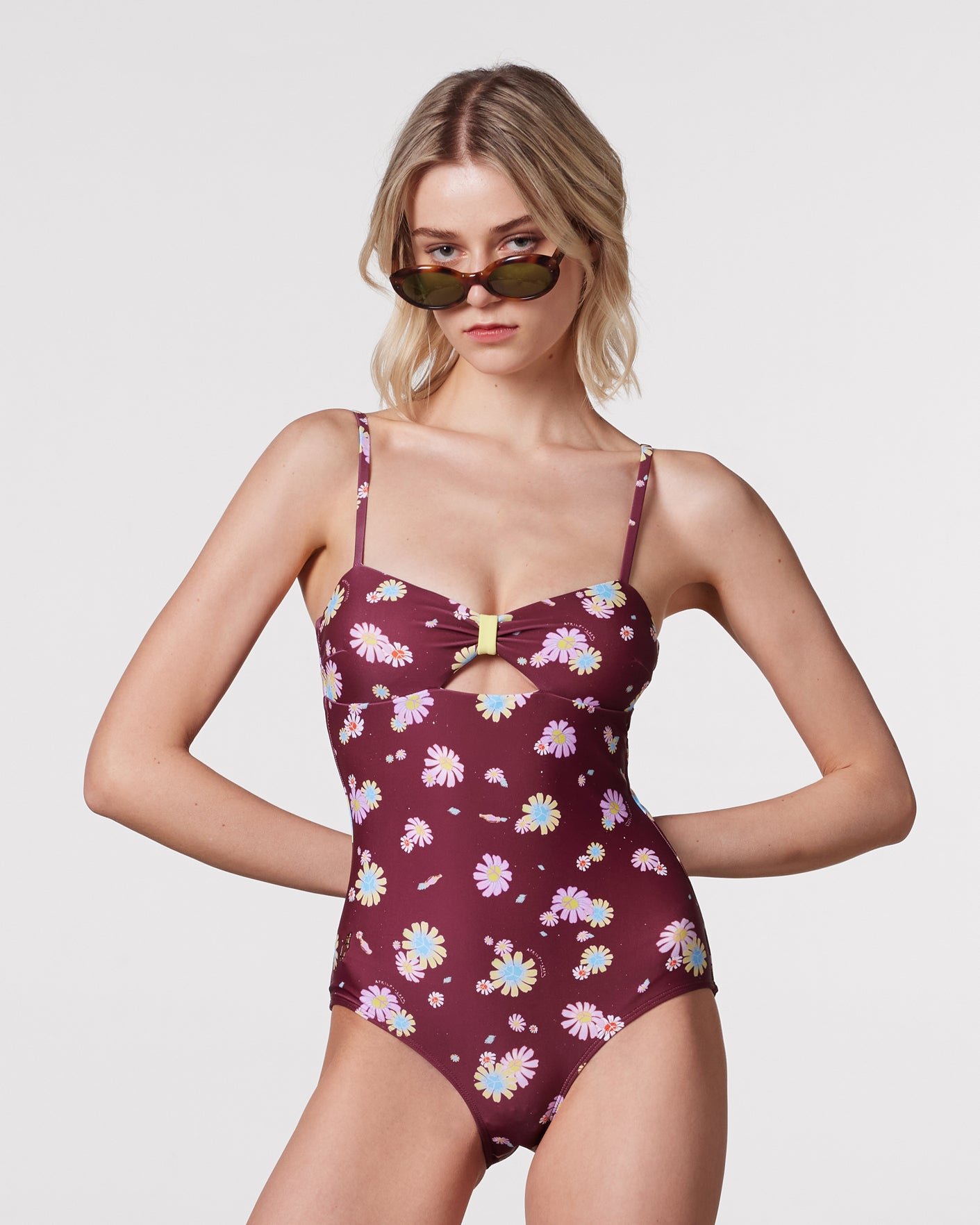 #colour_maroon daisies