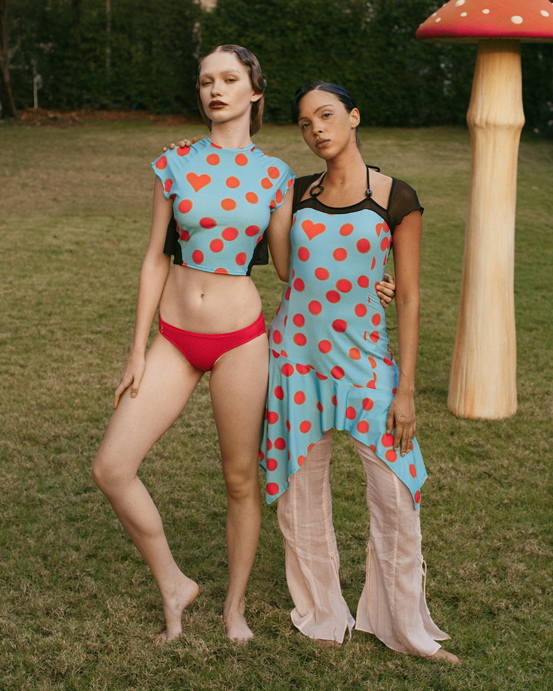 #colour_BLUE LADYBUG