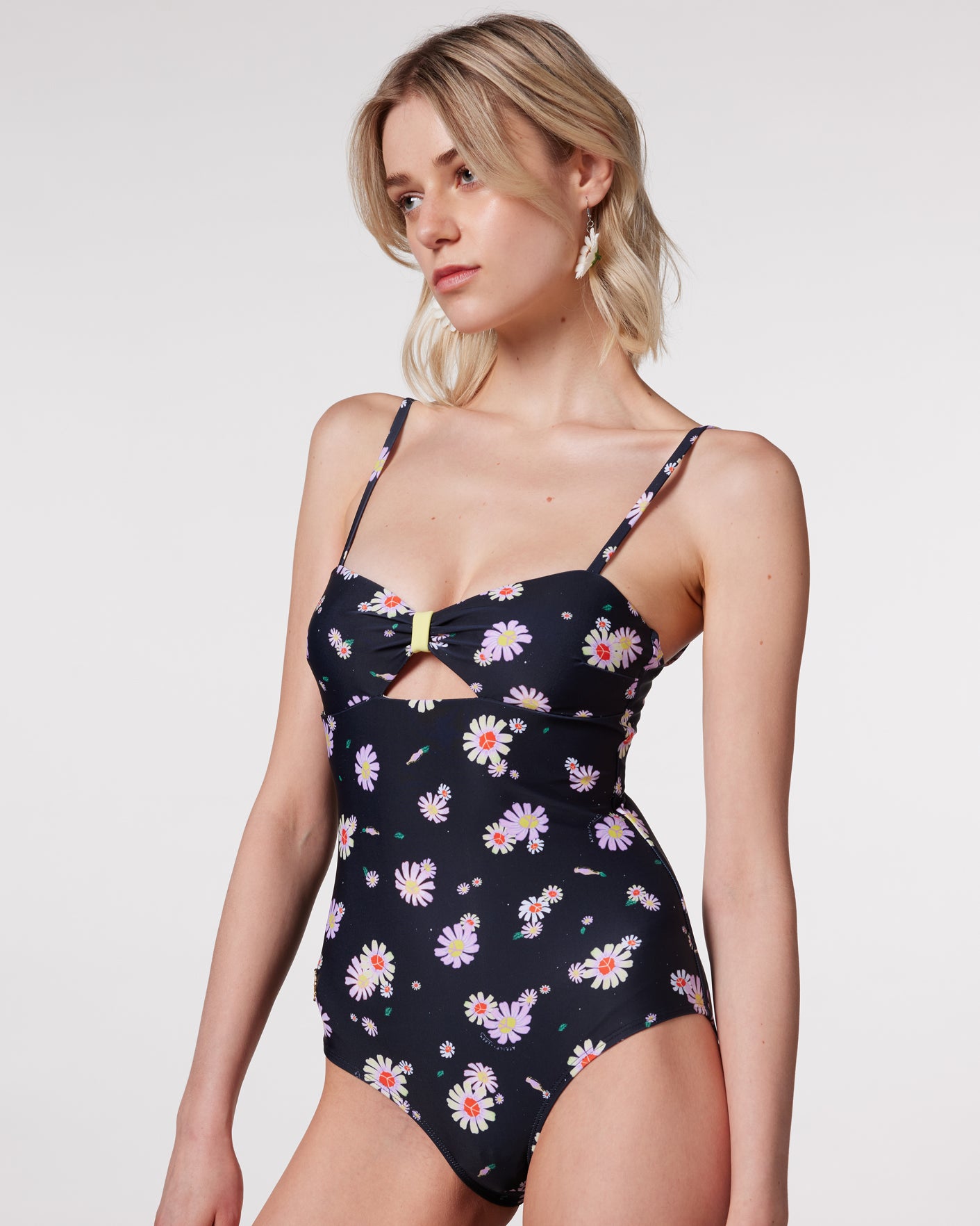 #colour_black daisies