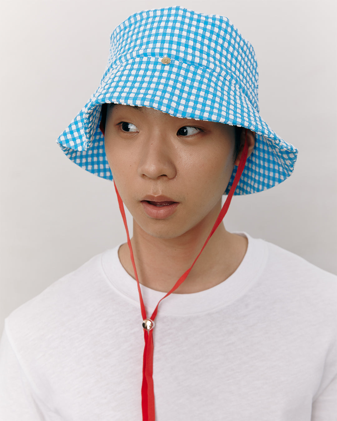 #colour_blue gingham