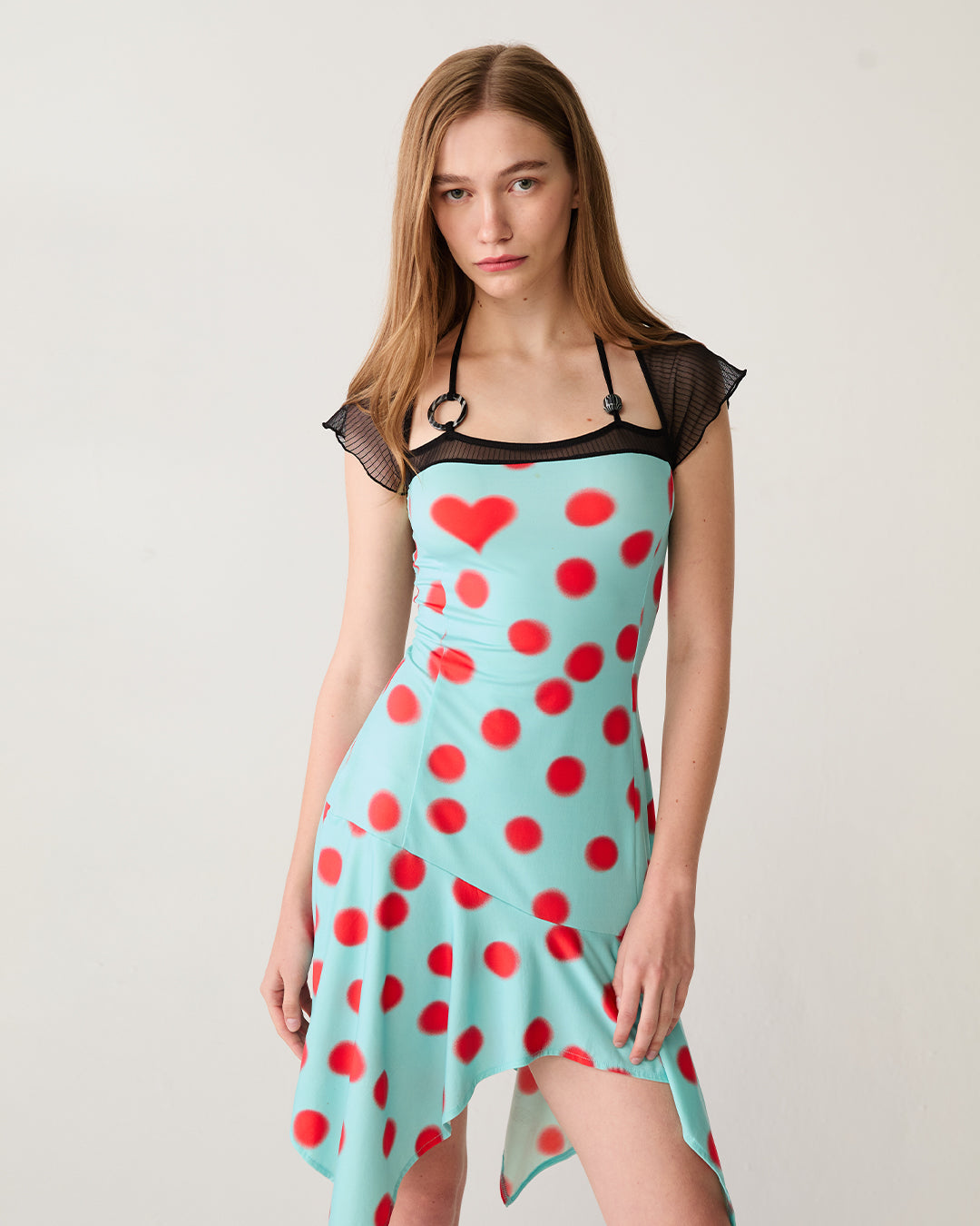 #colour_BLUE LADYBUG