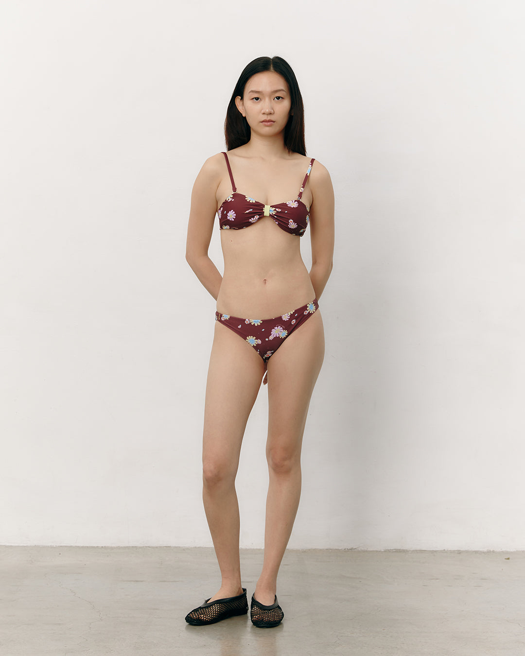 #colour_maroon daisies