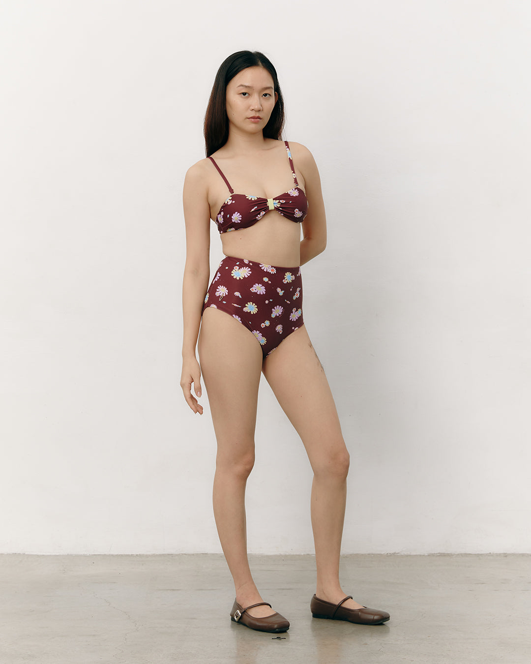 #colour_maroon daisies