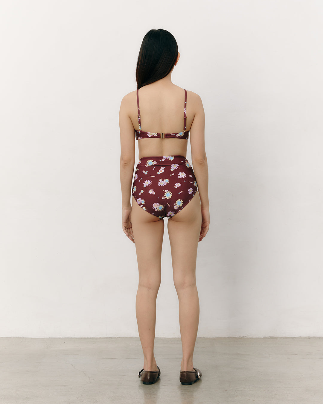 #colour_maroon daisies