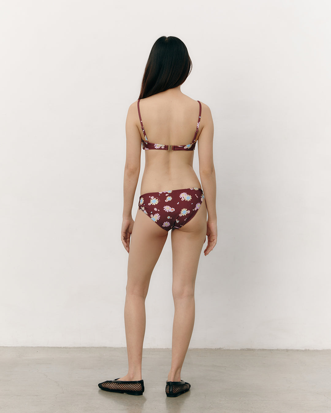 #colour_maroon daisies