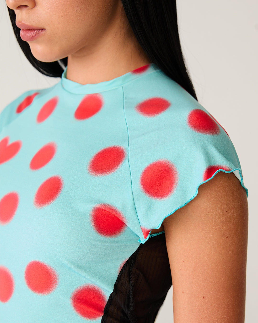 #colour_BLUE LADYBUG