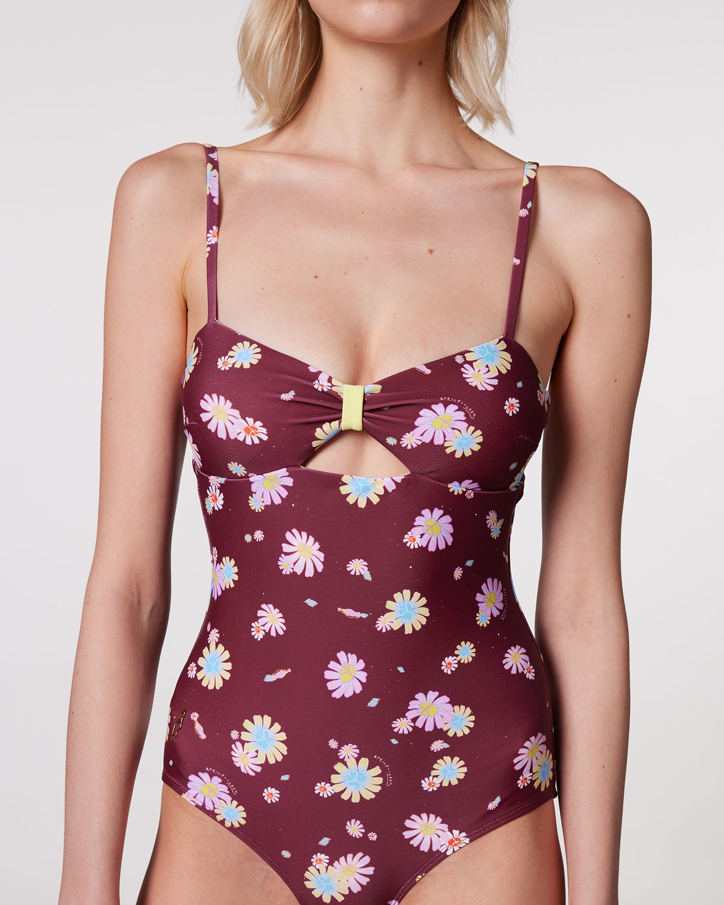 #colour_maroon daisies