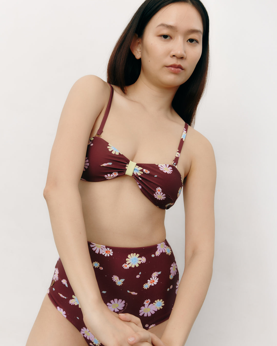 #colour_maroon daisies