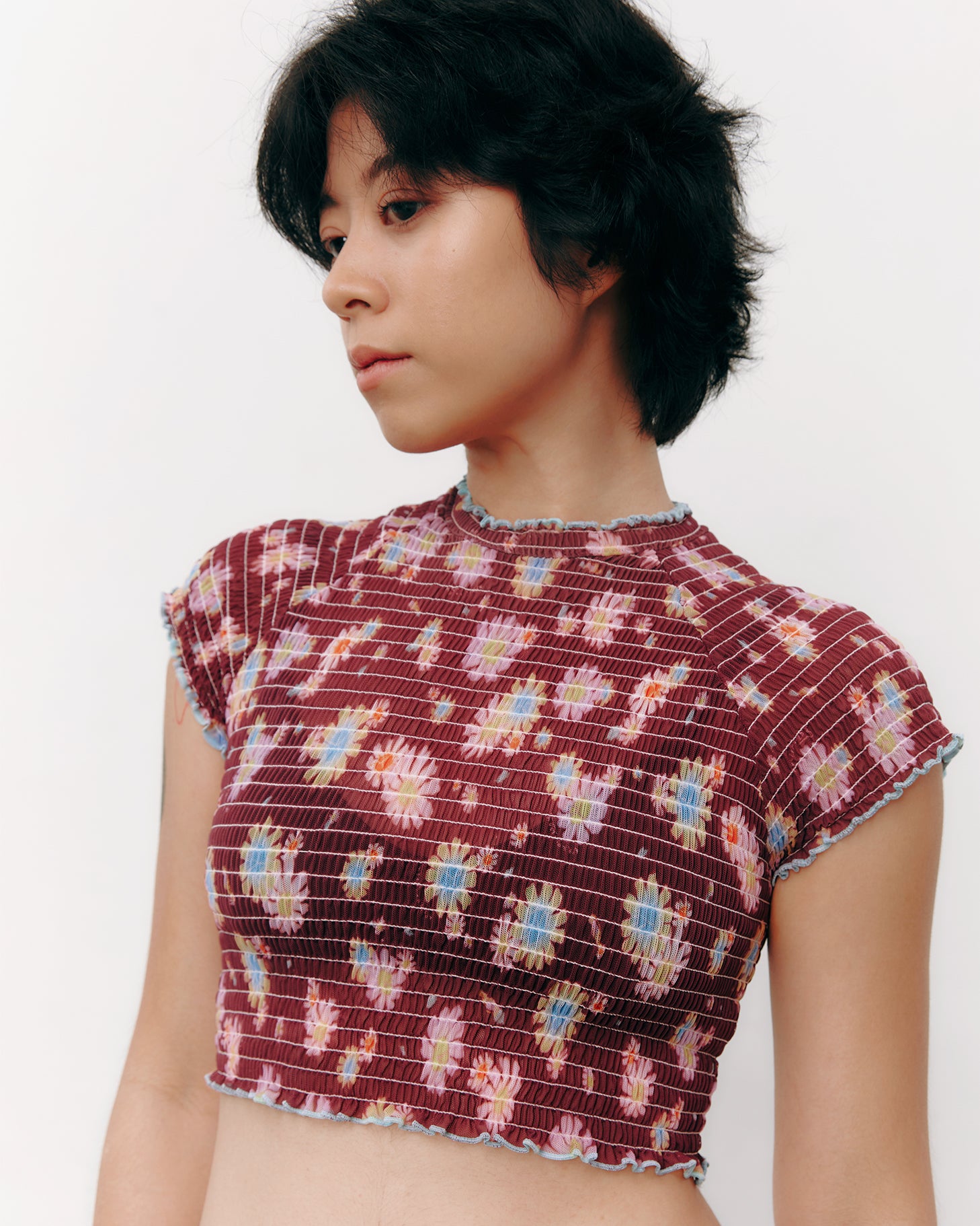 #colour_maroon daisies