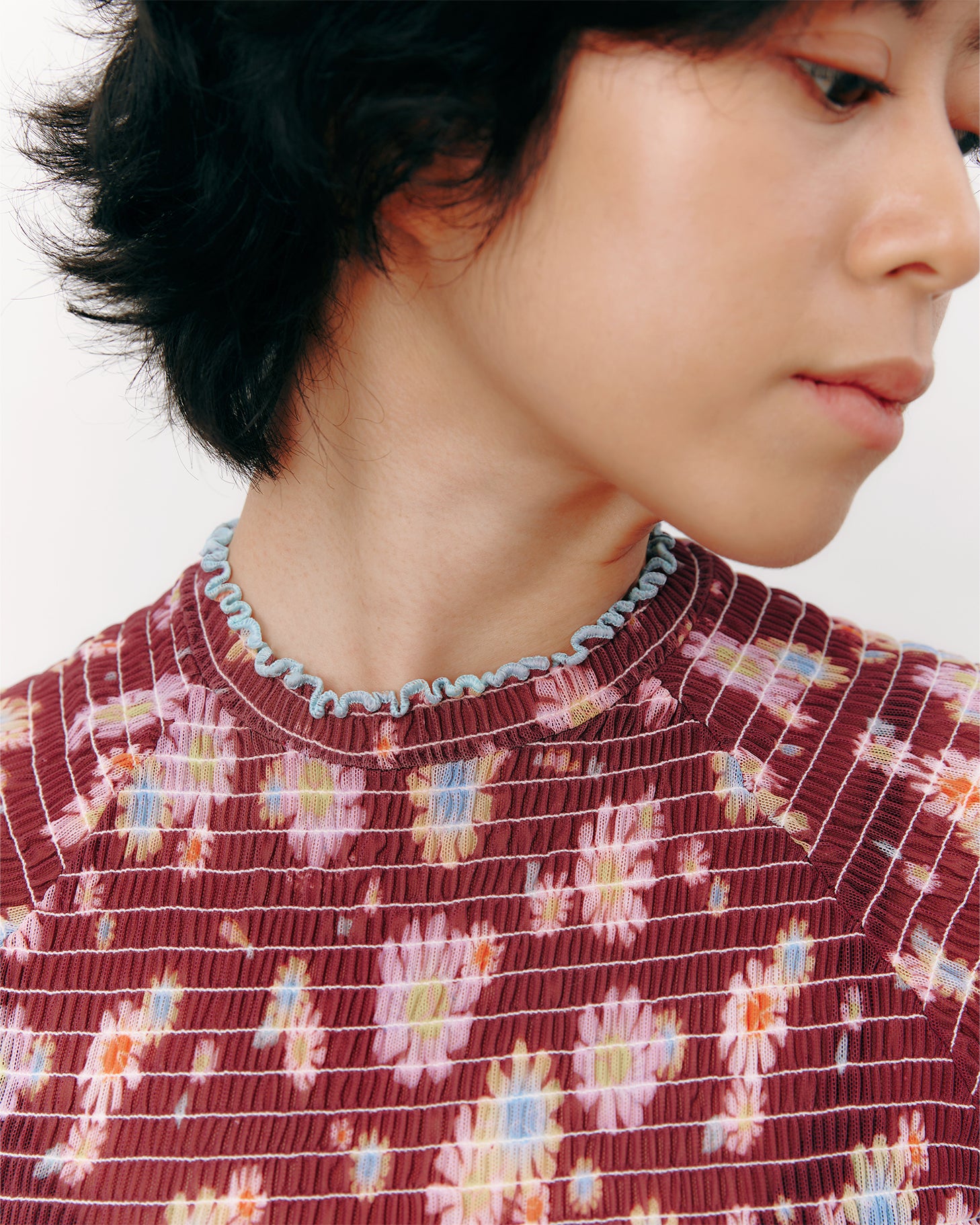 #colour_maroon daisies