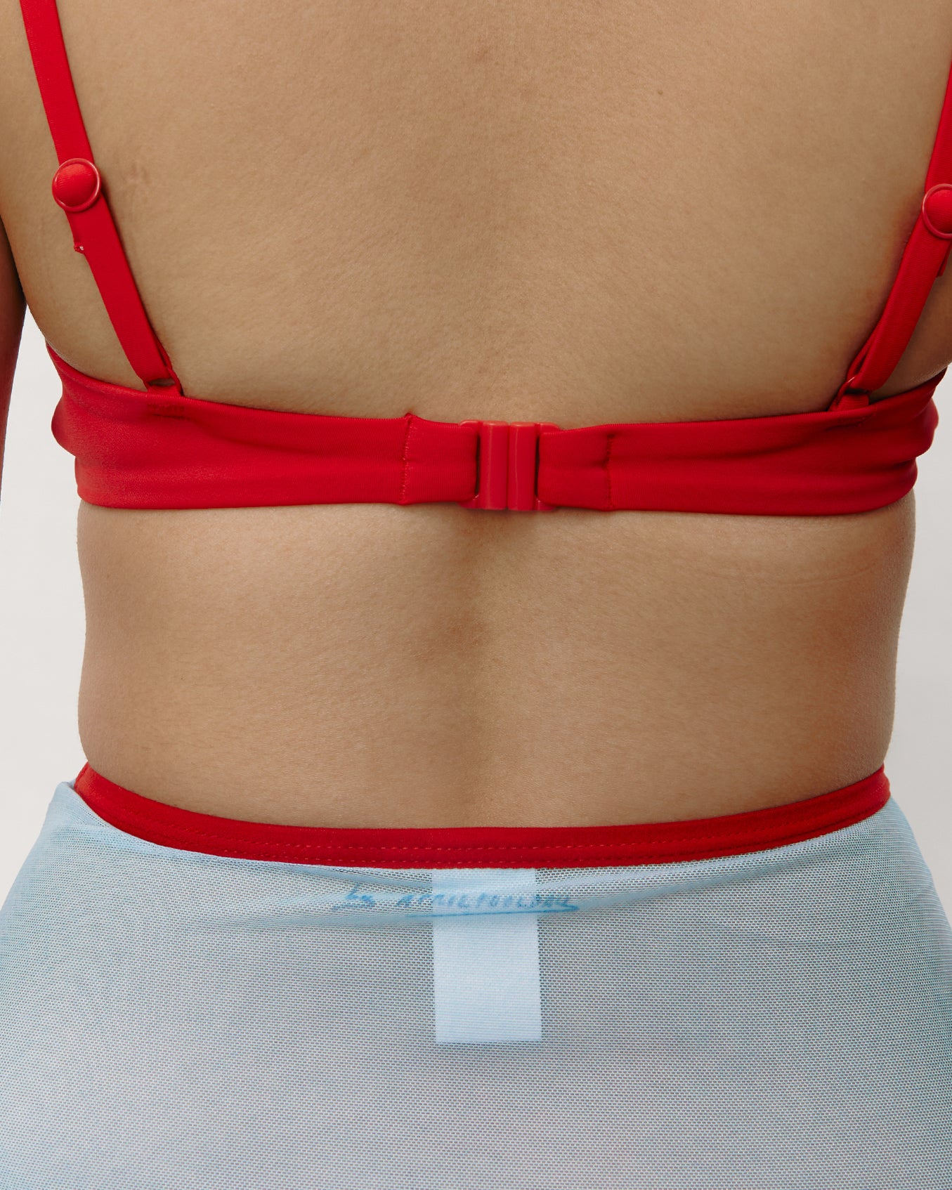 #colour_blue lobster