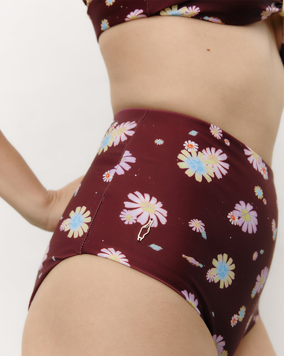 #colour_maroon daisies