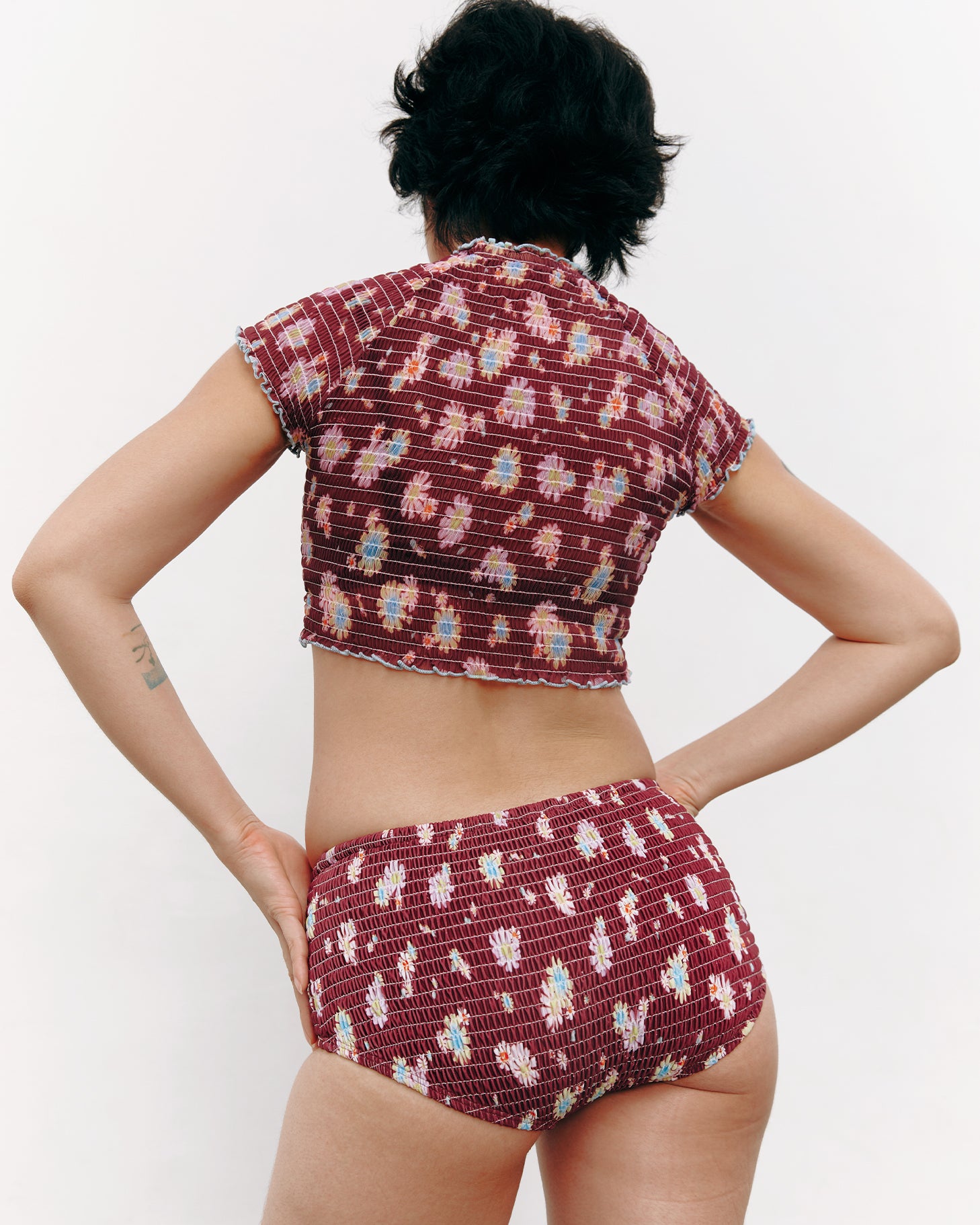 #colour_maroon daisies